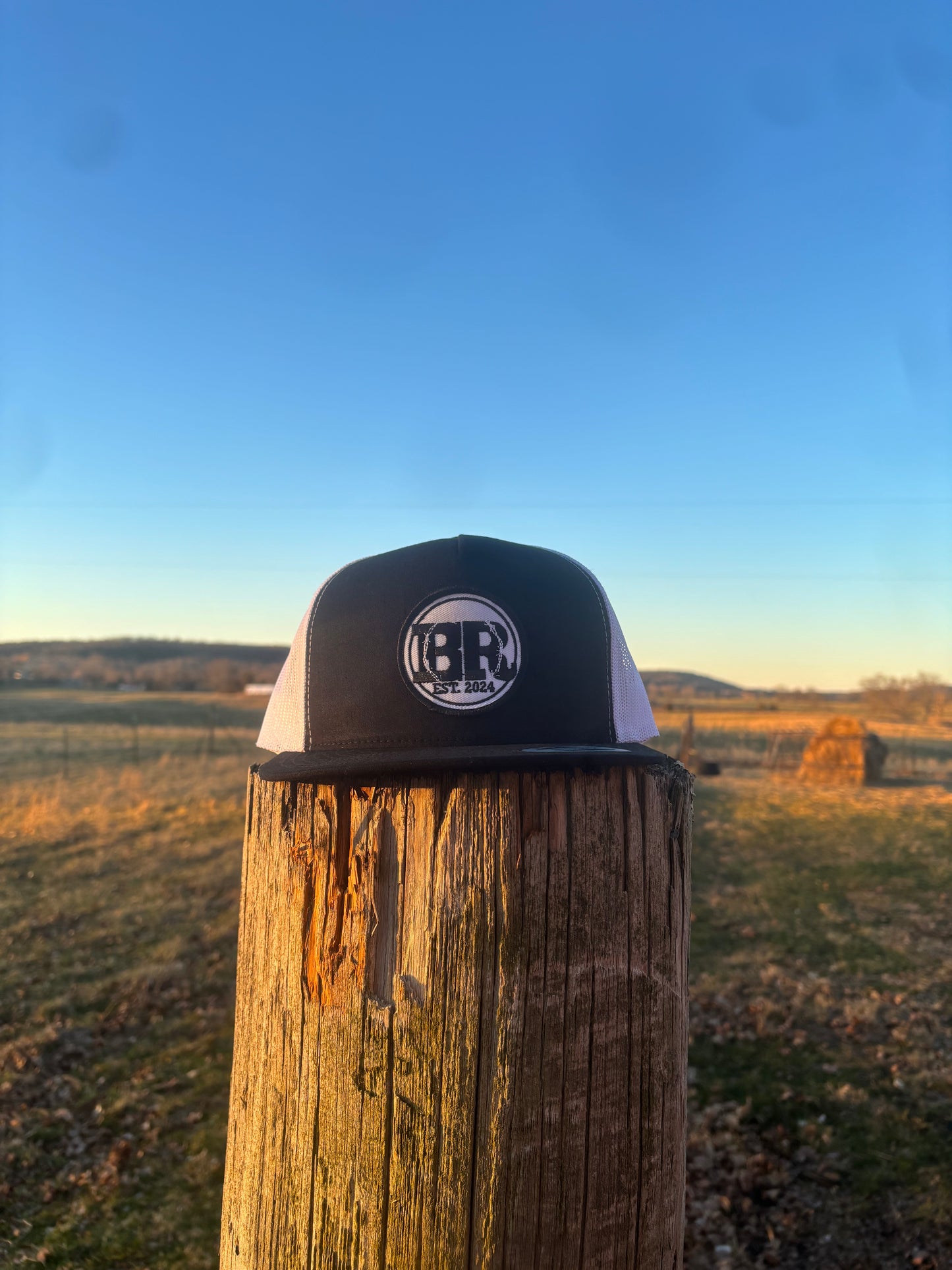 Logo Hat