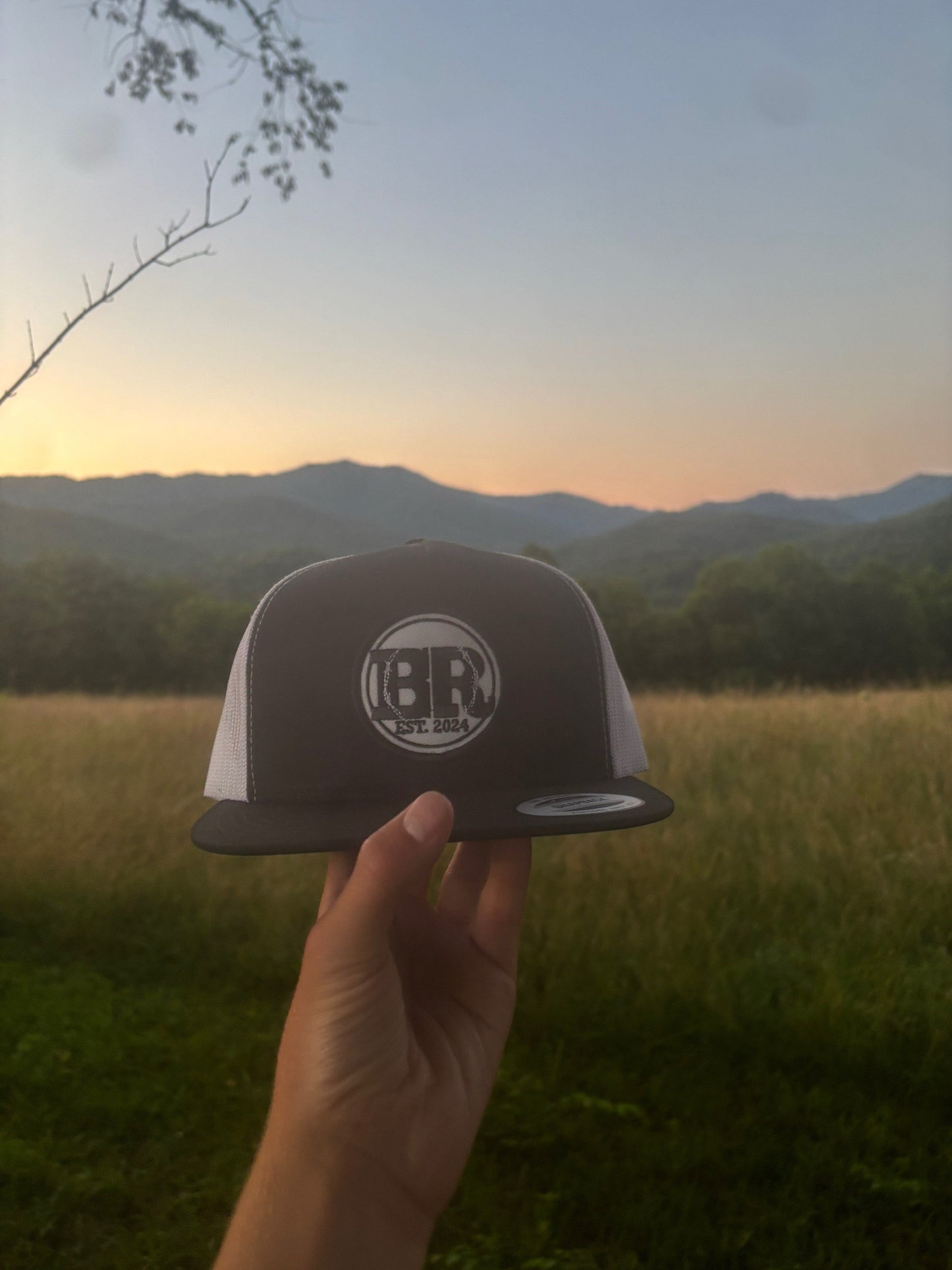 Logo Hat